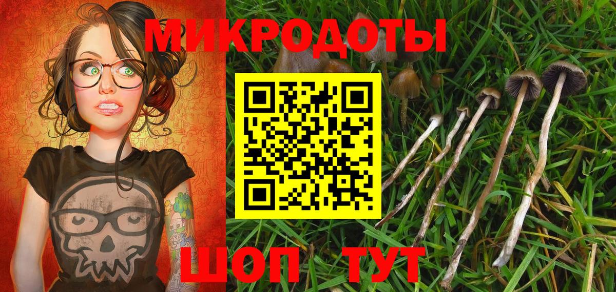 Галлюциногенные грибы Psilocybine cubensis Тулун